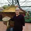 宝玉的头像