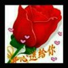 李的头像