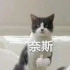 一指灵犀的头像
