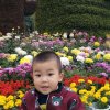 莲莲意语的头像