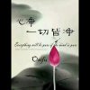 淡中循活（修心慧生）的头像