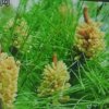 你是我的谁？？？的头像