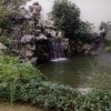 悍羊的头像