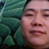 茶叶（王二哥）微信号18224292898的头像