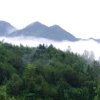 雪峰山的头像