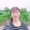 春雨的头像