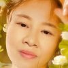 叶子姐的头像