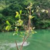 莫莫的头像