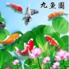 平安的头像