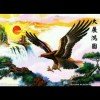 雄鹰的头像