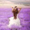 ら゛风中的紫藤花。的头像
