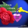 芳琼的头像