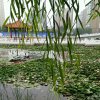 江风（拒私信）暂退的头像