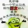 岁月无情人有情的头像