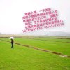 湘晖小草伟绩丰功的头像