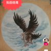 雄鹰展翅的头像