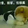  乖*^_^*乖 的头像
