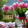 带刺的玫瑰的头像