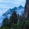 梨缘的头像