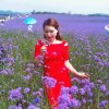 顺其自然，明天会更好的头像