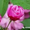 林姐的头像