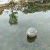 绿色好心情的头像