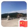 玉树林枫的头像