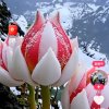 收获Iloveyou(勿币少花)（忙）的头像
