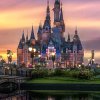 拾忆的头像