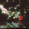 &明月星空夜&的头像