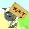 骑猪兜风的头像