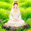 如诗如画（只给鲜花）拒私聊的头像
