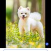 shuiyuan的头像