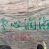鹏的头像