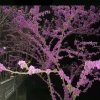 等待的头像
