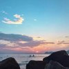 漂流浮萍(不玩)的头像