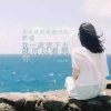 流浪的海鸥的头像