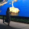 和为贵的头像