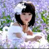 晓芳的头像