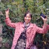 陈树芳的头像
