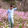 无怨无悔的头像