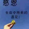 永不放弃《暂退》的头像