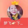 梦飞的头像