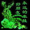 相逢就是缘的头像