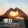 漂泊的心的头像