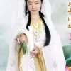 天天好运来的头像