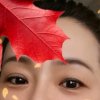 LilyTao的头像