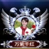 万紫千红(萍萍)的头像
