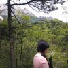 枫林的头像