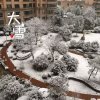 心韵冰封雪的头像
